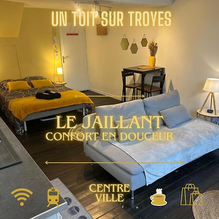 Le Jaillant - Wifi - Centre Ville Historique - Proche Gare Troyes Esterno foto